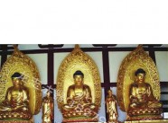 三宝佛16
