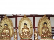 三宝佛12